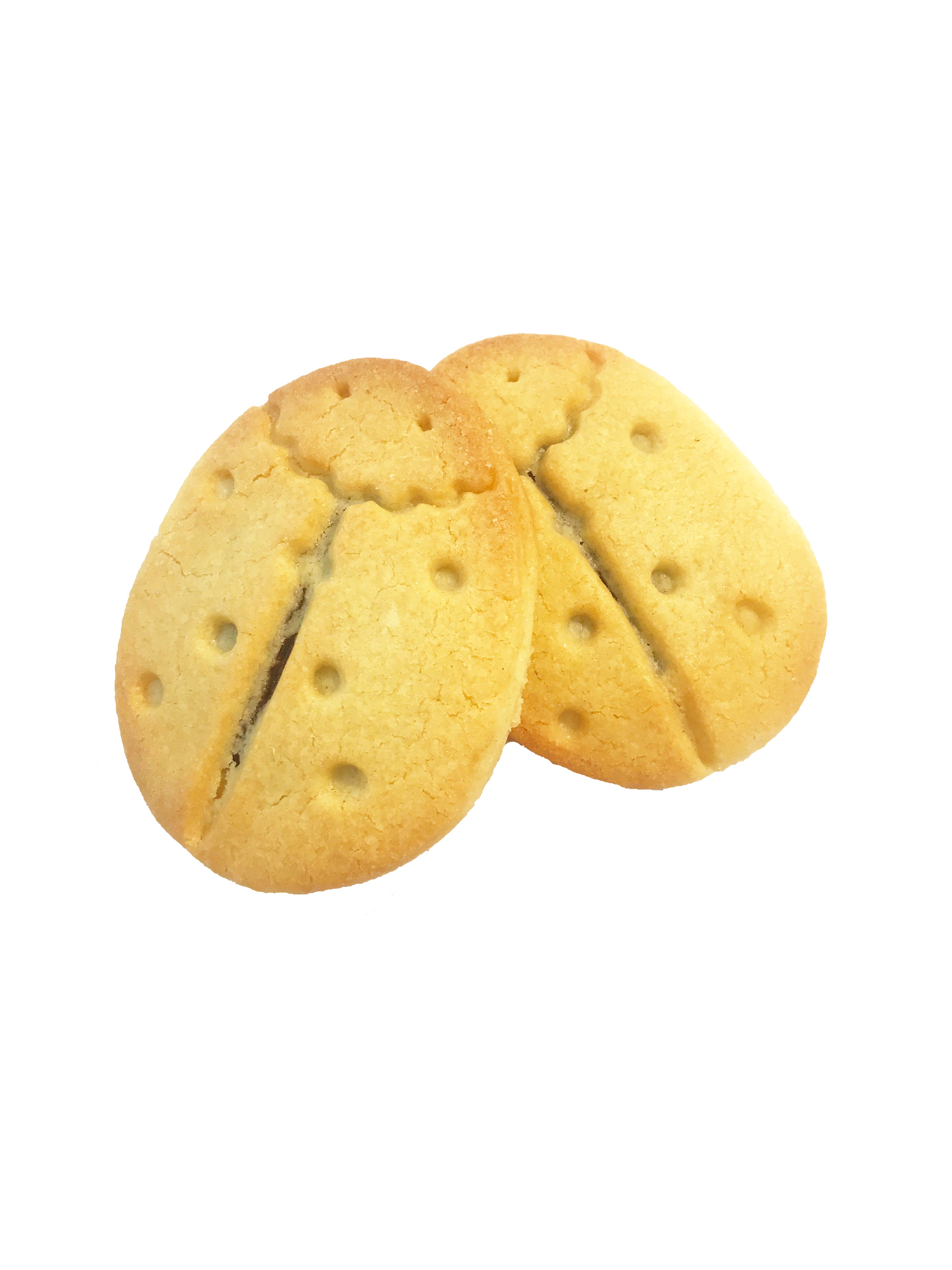 BISCUITS WITH CHOCOLATE FILLING