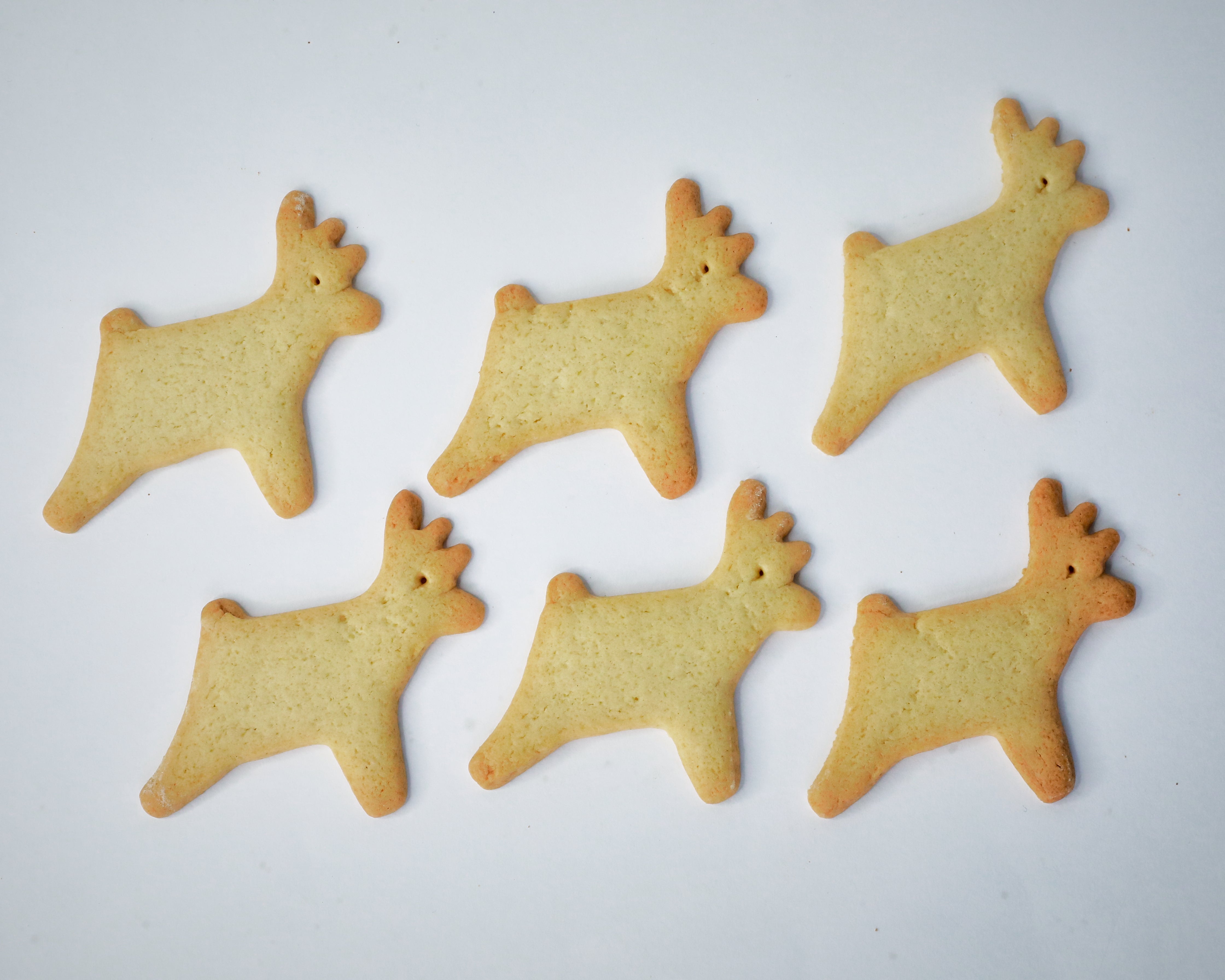 BISCUITS SABLÉS - RENNES x12