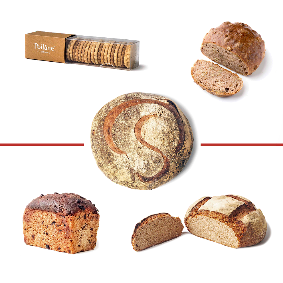 BREADS AND PUNITIONS® BISCUITS