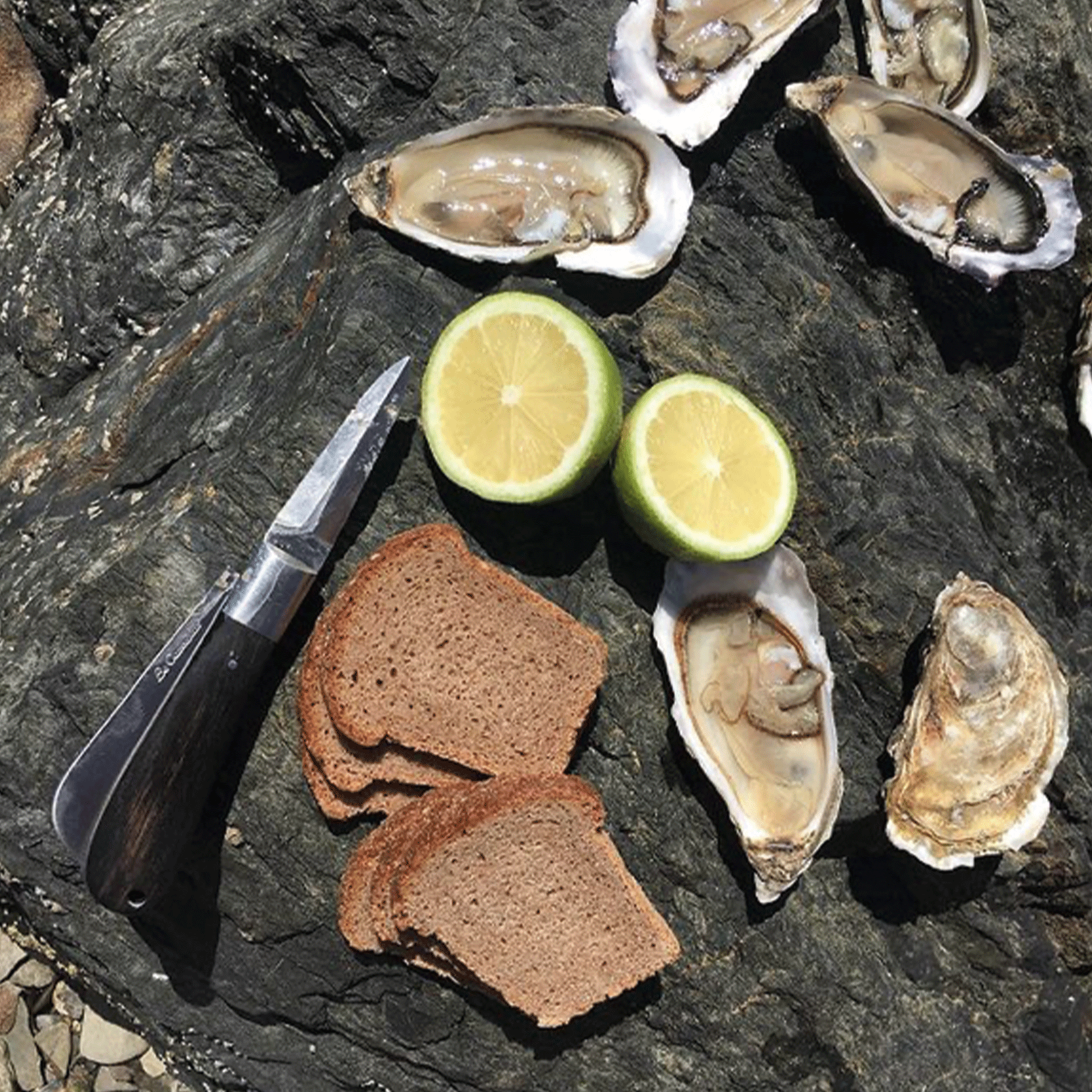 PAIN DE SEIGLE LONG (30 Tranches)