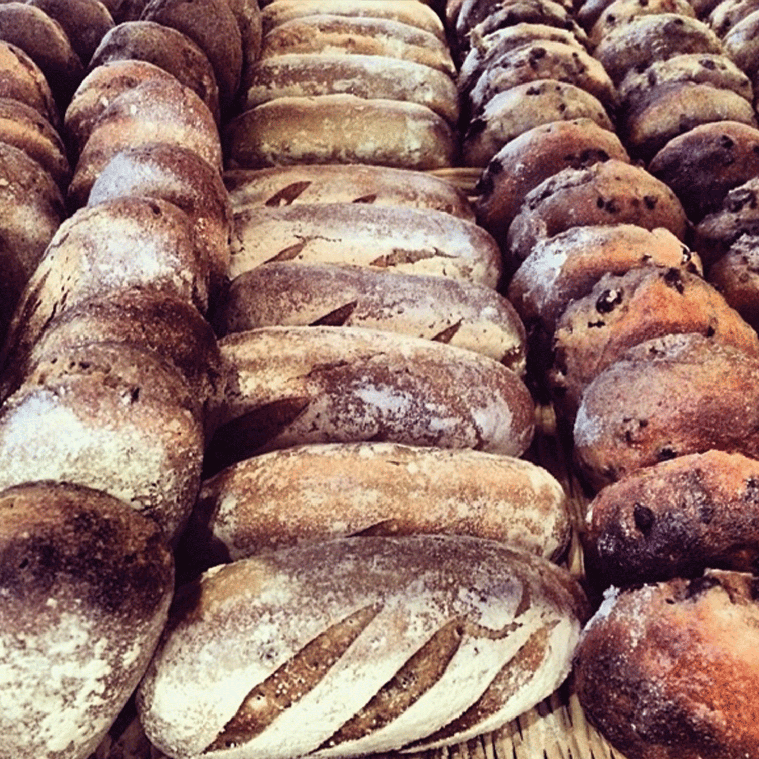 RYE ROLL / 2PCS 